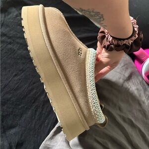 Platform Tasman Uggs